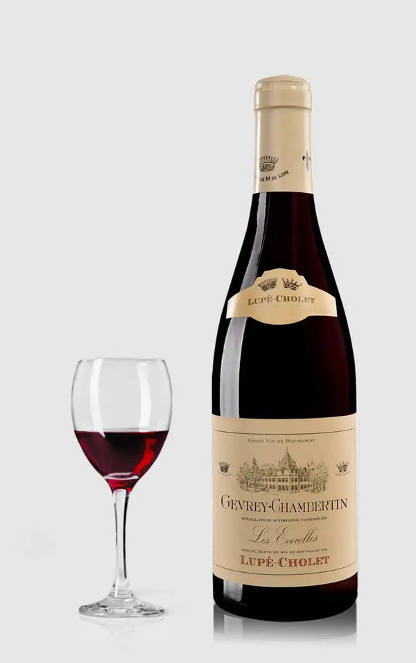 Domaine Lupé-Cholet, Lupé-Cholet Gevrey Chambertin Les Evocelles 2020 - Bottle Hero