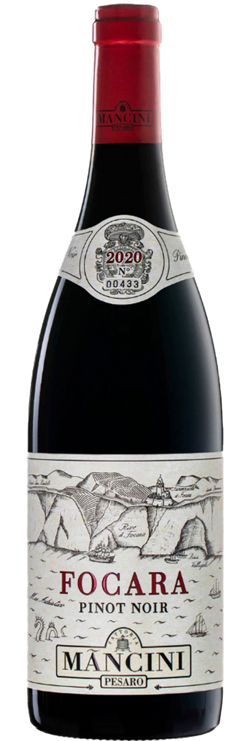 Mancini, Pinot Noir Colli Pesaresi D.O.C. "Focara" 2020  - Bottle Hero