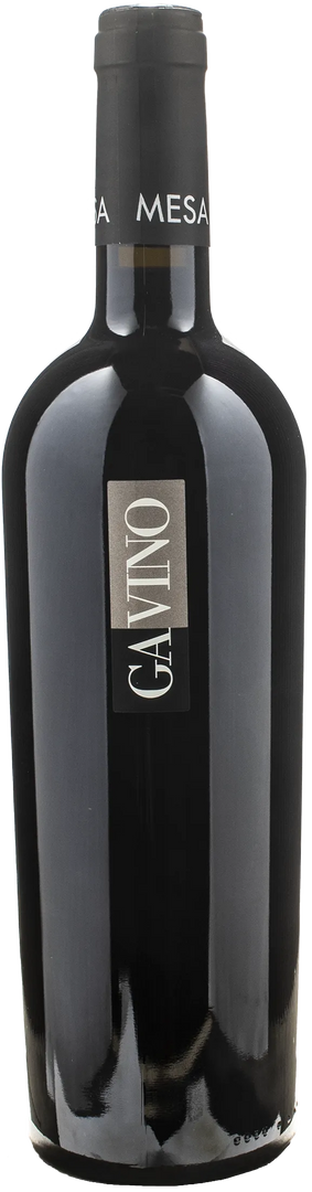 Mesa Carignano del Sulcis Superiore Gavino 2020
