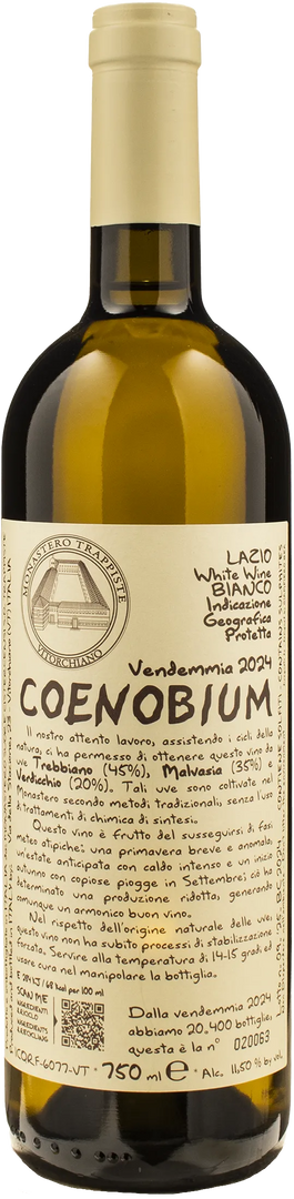 Monastero Trappiste Vitorchiano Coenobium 2024