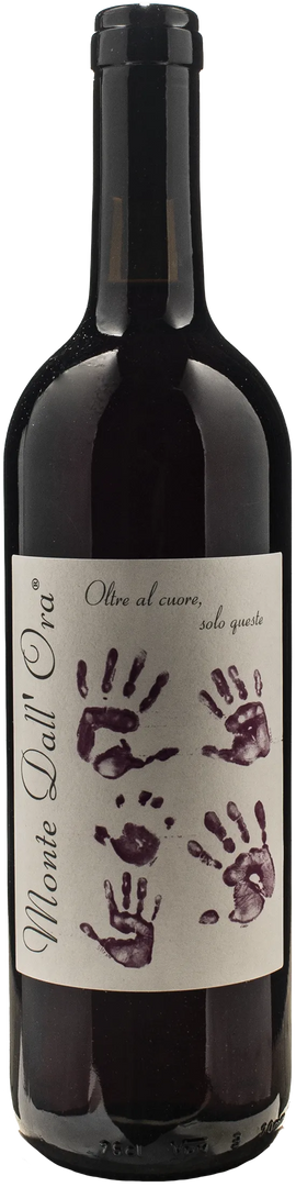 Monte dall'Ora Valpolicella Classico Saseti 2025
