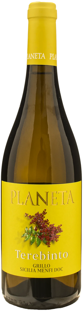Planeta Terebinto Grillo 2025