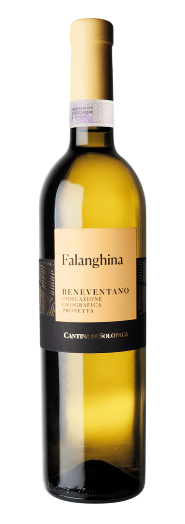 Cantina di Solopaca, Beneventano Falanghina 2025 White - Bottle Hero
