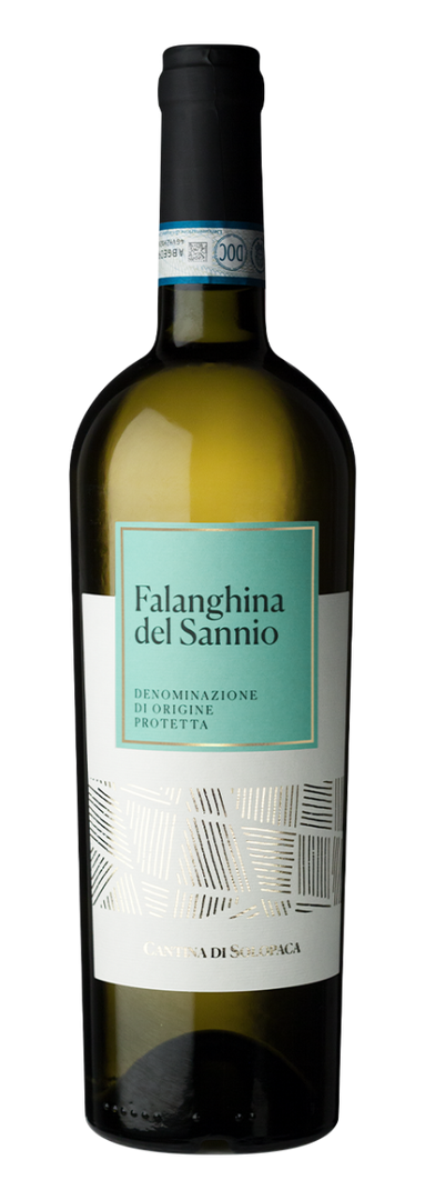 Cantina di Solopaca, Falanghina del Sannio 2025 White - Bottle Hero