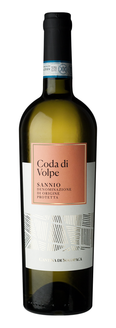 Cantina di Solopaca, Coda di Volpe Sannio 2025 White - Bottle Hero