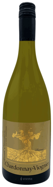South Emotion, Cuvée Prestige Chardonnay Viognier 2025 White - Bottle Hero