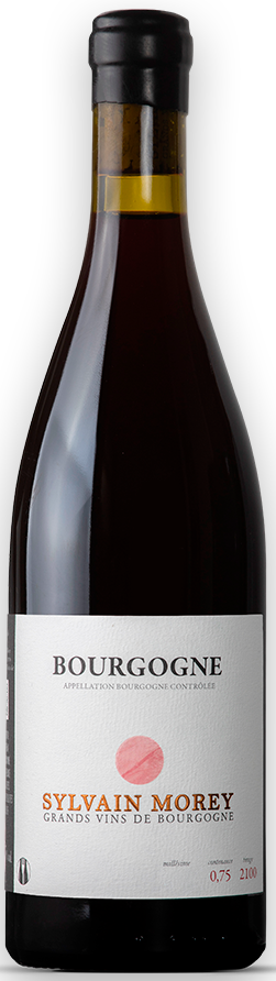 Sylvain Morey, Bourgogne Rouge, 2024 - Bottle Hero