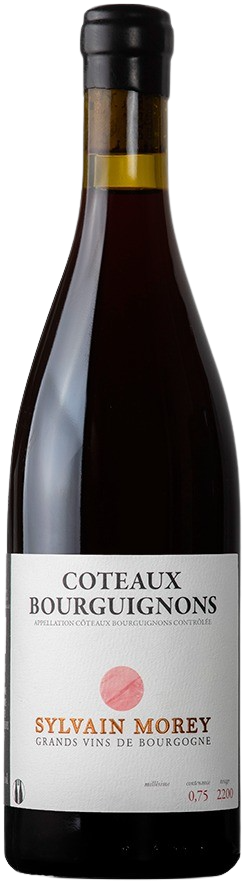 Domaine Sylvain Morey, Coteaux Bourguignons, 2023 - Bottle Hero