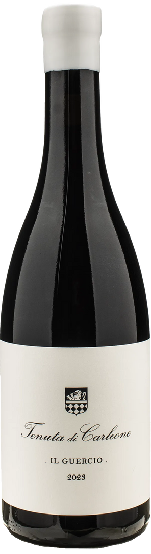 Tenuta di Carleone Il Guercio 2023
