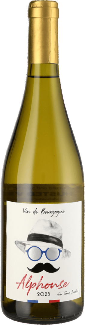 Terres Secrètes, Macon Village Alphonse, 2023 - Bottle Hero