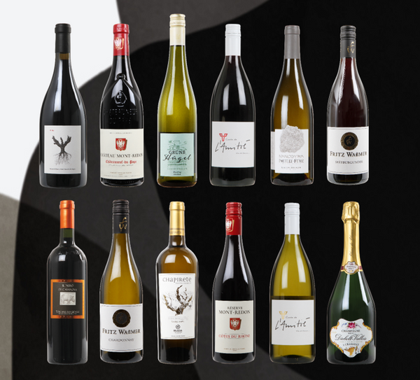 TOP 12 VINE 2024 - Bottle Hero
