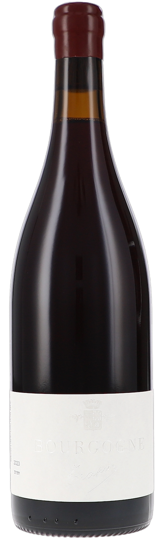 Trapet  - 2023 Bourgogne rouge - Bottle Hero