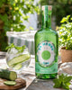 Trend Spirits Group, 24 Herbs Gin 40% Agurk/Mint - Bottle Hero