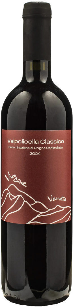 Vigne Venete Valpolicella Classico 2024