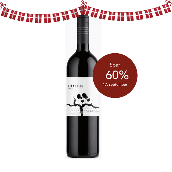 Viña Buena, Ribera del Duero Roble Altos de Aranda, 2024 - Bottle Hero