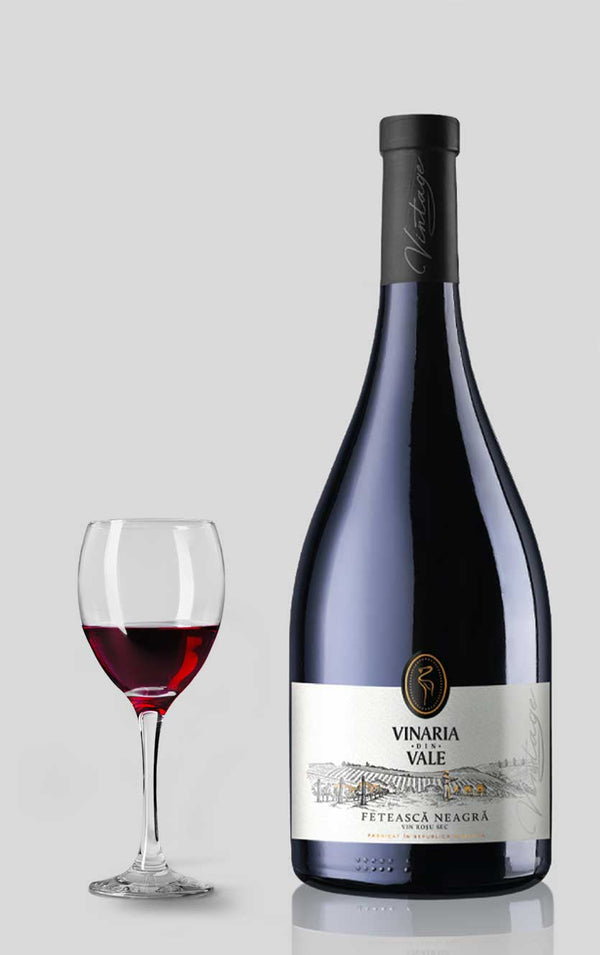 Vinaria din Vale, Fetească Neagră 2022 - Bottle Hero