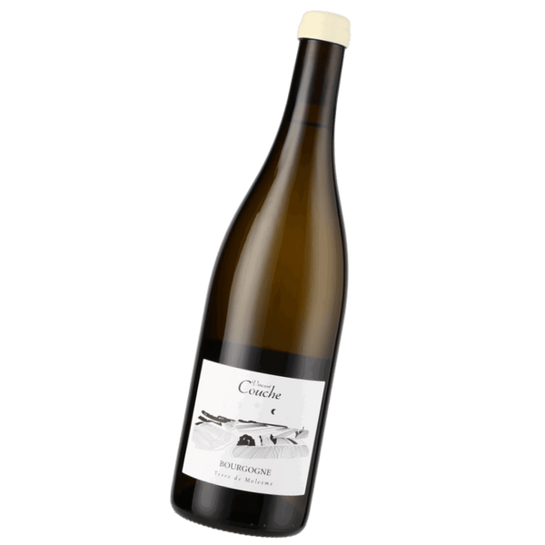 Vincent Couche, Terre de Molesme Bourgogne Blanc, 2023 - Bottle Hero