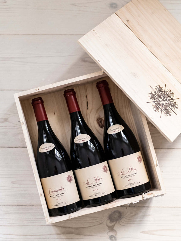 Dominio de Es, Den ultimative trio fra Ribera del Duero i OWC, 2019 - bottlehero.dk