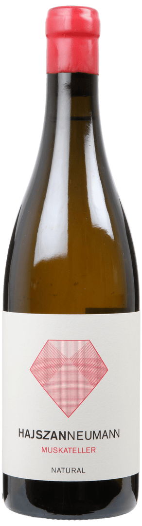 Weingut Hajszan-Neumann, Muskateller Orange NATUR BIO, 2020 - bottlehero.dk